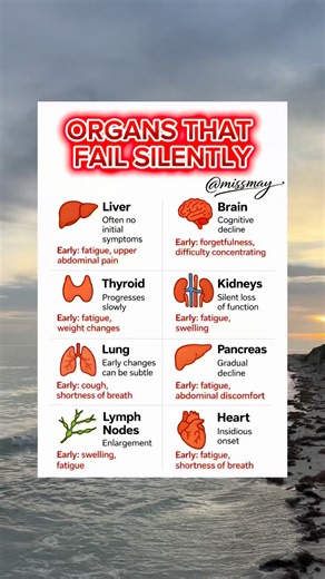 ⚠️ These organs often show subtle early warning signs. #HealthAwareness #HealthTips #HealthTalk #HealthEducation #HealthCare | Miss May