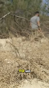 105K views · 2.2K reactions | No pup too young for the hunt.  Training starts early. #reels #huntingdogs #texashunt #workingdoglife | Dogumentary TV | Facebook