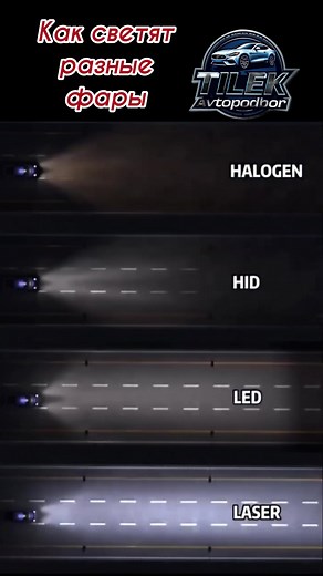 tilek_avtopodbor (@tilek_avtopodbor)’s videos with Bass Cinematic Epic Aggressive Powerful Creepy Horror Intro Logo Teaser Music(1376014) - Other Sound