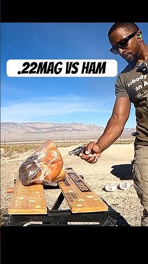 How Effective Is a .22 Mag NAA Mini Revolver for Self-Defense?