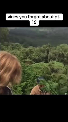 okeh #ok #meme #fyp #vine #funny | vines