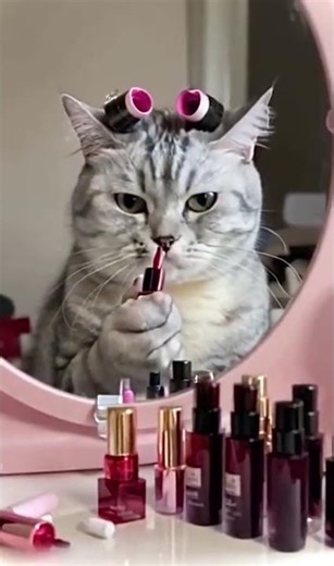 Adorable Cat Tries Makeup for the First Time 😻💄