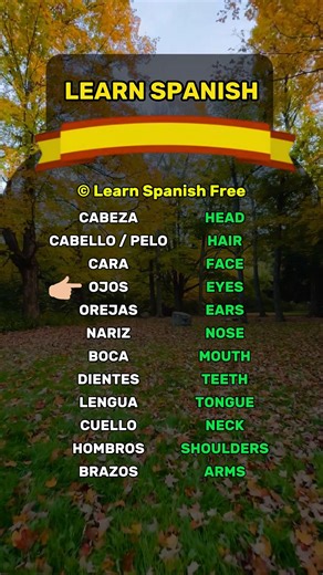 Learn Spanish Free Beginner in Spanish? Subscribe to level up fast! #spanishquiz #learnspanish #LearnSpanish #easyspanish #spanishlessons | Learn Spanish