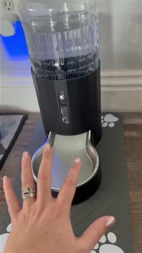 Best Absorbent Pet Feeding Mat Waterproof Non Slip Dog Cat Bowl Mat USA