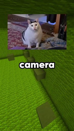 The Origins Of Meme Sounds #13