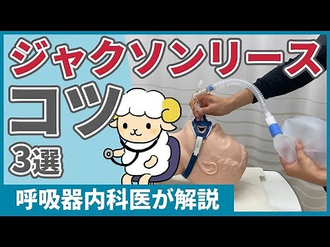 [Demonstration Explanation] 3 Tips for Effectively Using Jackson Reese's