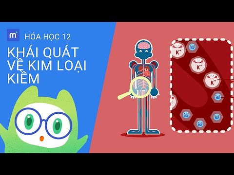 Khái quát về Kim loại kiềm | Hóa học 12: Chương 5 - Đại cương về kim loại