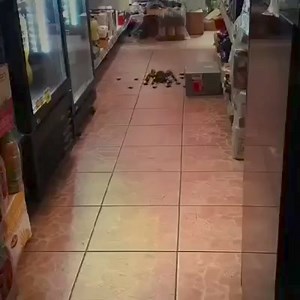 Phénomène paranormal on Reels