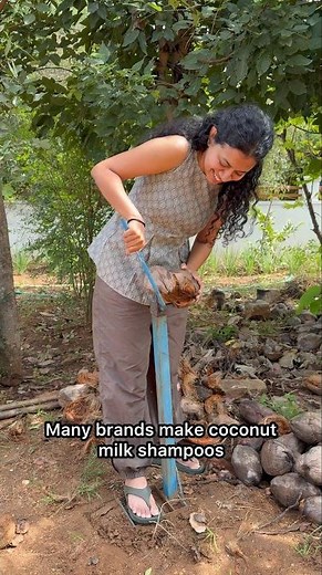 Why Switch to Coconut Milk Shampoo Today? 🥥🌴