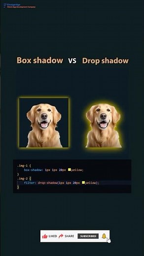 Subscribe 👍 Like ❤️ | Box-Shadow vs Drop-Shadow: The Ultimate CSS Showdown! #coding #youtubeshorts