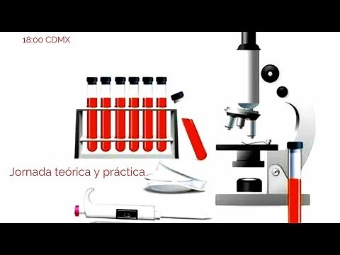 Prueba Cruzada mayor y Prueba Cruzada Menor