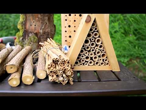 Insektenhotel einfach selbst bauen - Infos über Wildbienen