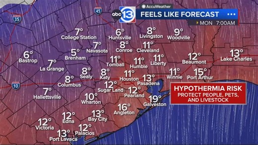 Weather Alert continues into Monday, January 26, 2026 as hard freeze expected overnight https://abc13.com/post/houston-weather-forecast-today-near-me-texas-rain-storm-predictions/39346/ | ABC13 Houston