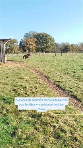 Plus envie de dépendre des avis extérieurs pour savoir ce que ton...