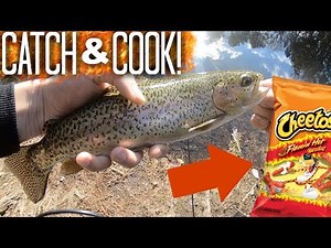 Flamin' Hot Cheetos Trout! CATCH AND COOK!! (Pond Trout Fishing)