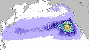 Japanese tsunami debris
