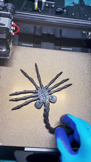 Tried to attack me at the end 😅 #aliens #horrortok #3dprinted #facehugger #fyp #fypシ