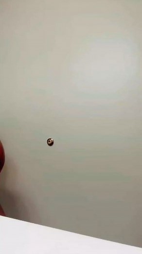 Check our that huge bump..... What?!!! ➖➖➖➖➖➖➖➖➖➖ Follow@pregnancybabynyou ➖➖➖➖➖➖➖➖➖➖ 📸: No Copyright Infringement Intended All rights and credits are reserved for the rightful owner(s). | Pregnancy baby and you- PBY