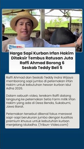 Sapi Jumbo Irfan Hakim Ditaksir Ratusan Juta, Raffi Ahmad Borong 6, Teddy Beli 5 Sekaligus Tahun Ini
