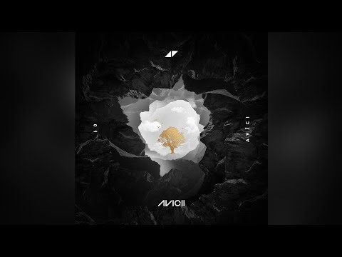 Avicii ft. Vargas & Lagola - Friend Of Mine (Acapella) | Download