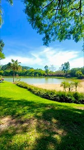 4.5K views · 86 reactions | Parque funcionando com uma piscina, lago para banho , tirolesa, escorregador, área para camping, mesas, churrasqueiras e a partir do dia 29/11/25 todas as piscinas entram em funcionamento. Valores nos destaques. | Tobacco Country | Facebook