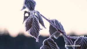 What is a polar vortex?