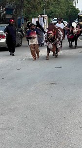 16M views · 477K reactions | HERE IS the beauty Love #dcattlefarmofficials0 #Golo #panda #biggestbull #cattleranch #bangladesh #showstopper #dkashok #trending #pageforyou_ | D Cattle Farm | Facebook