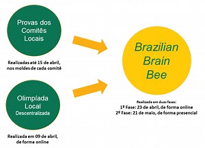 Como participar - Olimpíada Brasileira de Neurociências
