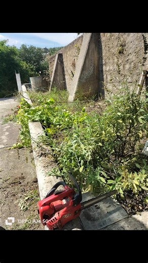 Video di sononellafollia (@_il_king_2001) con Figlio e papà - Marco Moreno