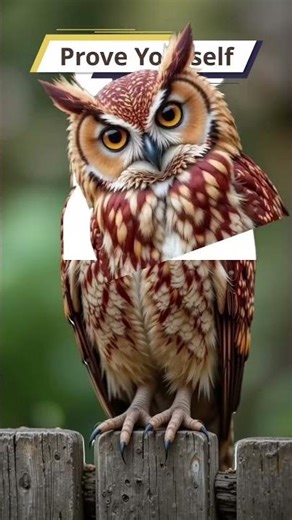 Owl challenge ... #pauseshorts #lifestyle