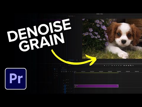 How to Denoise Grainy Video in Premiere Pro (Easy Fix!)