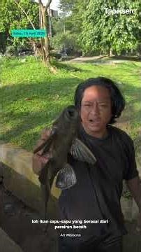 Selalu dianggap Hama, Sebenarnya Apa Sih Manfaat dari Ikan Sapu-Sapu