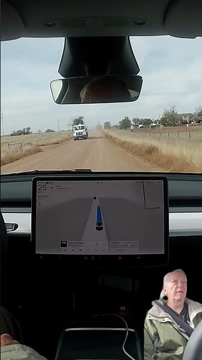 Practical FSD V14.1.4 avoids horse poop on the road. #fsd