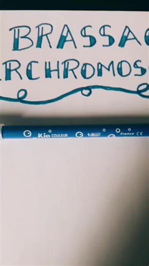 Brassage Interchromosomique : Explication en SVT