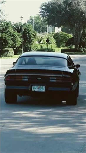 😇🤭mia🤣🥰😍.