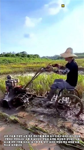 소형 관리기 논 로터리 갈이 작업 현장 #worker #process #tiller #paddyfield #plowing