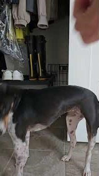 7/28 am target stick