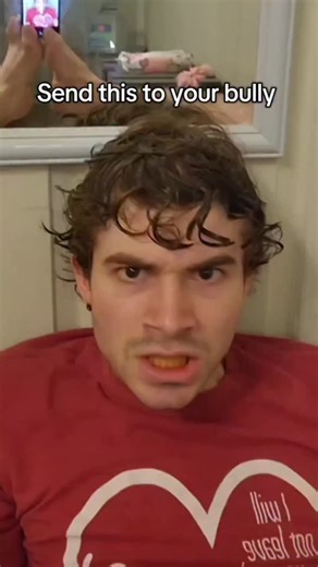 lilcookie227 on Instagram: "Send this to your bully #fyp #memes #bully #cringe #alpha #funny #reels #dangerous"