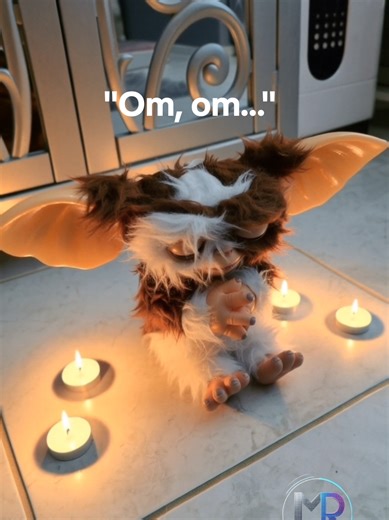 Gizmo's Journey: From Wild Energy to Ultimate Zen