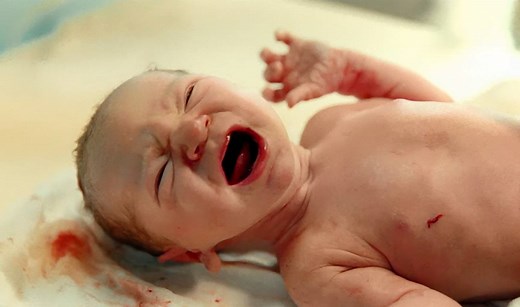 Finally, we are extremely proud to present, the brand new official Magalies Commercial! | Magaliesberg Citrus Company Pty Ltd