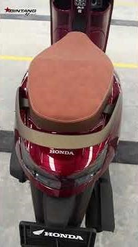 NEW STYLO SPECIAL BURGUNDY COLOR DIFFERENCE!! #bintangmotor #honda #stylo160 #motorreview