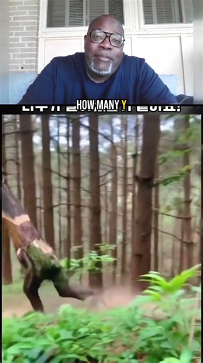 Walking Trees Are Real And They Have A Name