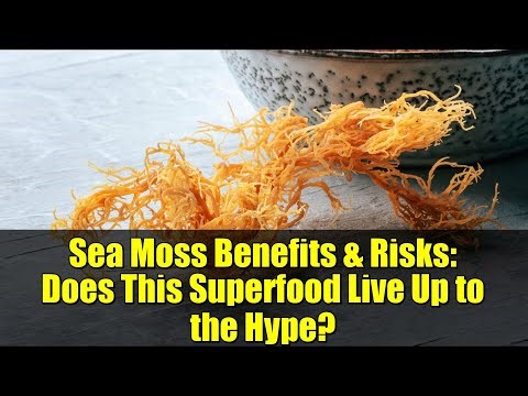 Sea Moss Benefits & Risks: Does This Superfood Live Up to the Hype?