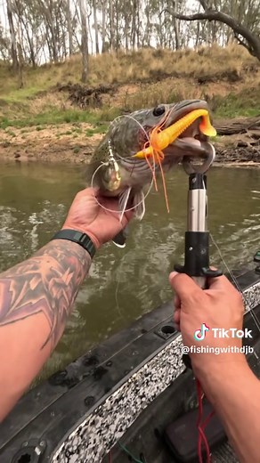 Team work makes the dream work #murraycod #bassfishing #troutcod #murraycodfishing #lurefishing #fyp #fishingtiktoks #fishing