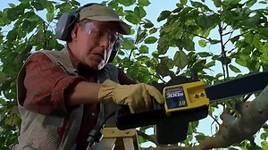 Small Soldiers (1998) Open Matte