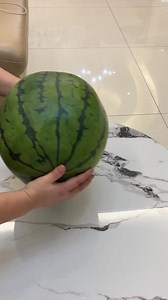 Although I am not a human being, you are a real dog #cutedogs #funnymeme #reelsoftheday #viralreelsfb #funny #funnyvideo #dogsofinstagram #funnyreels #pet #cute #dog #puppy #reelsviralfb #fun | Annie