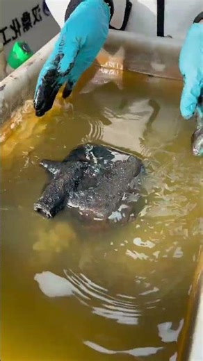 Degreasing and cleaning #Metal surface treatment