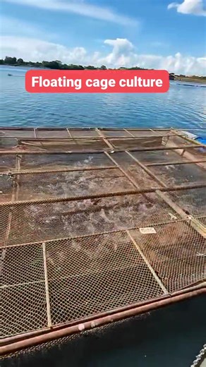 1.5K views · 12 reactions | For those asking, this is the floating...