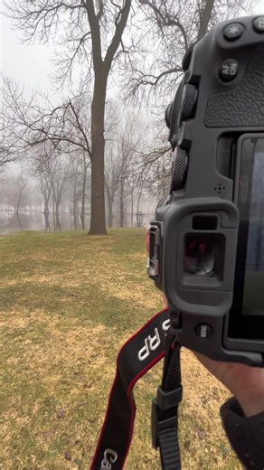 Foggy photos part 3 #photography #landscape #moody