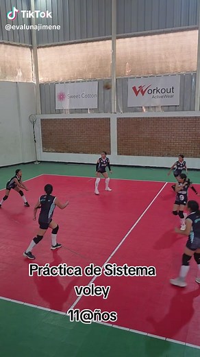 Práctica de Sistema de Voley: Mejorando con Técnica